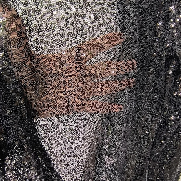 Women's Floor Length, Long Sleeve, Sheer, Goth Whimsigoth Sequin Evening Gown, L - Picture 5 of 11